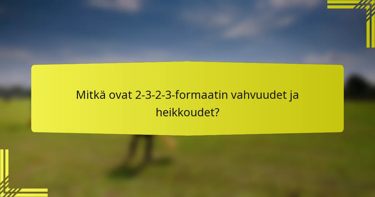 Mitkä ovat 2-3-2-3-formaatin vahvuudet ja heikkoudet?